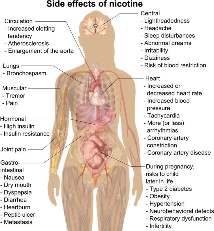 Nikotinin olasi yan etkileri