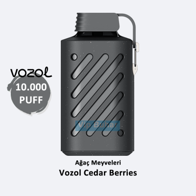 Vozol Cedar Berries, Vozol 10000, Vozol 10000 Puff, Vozol 10K