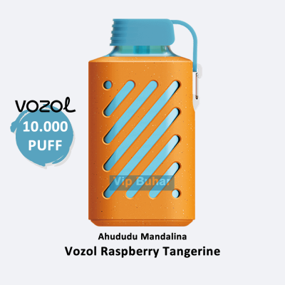 Vozol Raspberry Tangerine, Vozol 10000, Vozol 10000 Puff, Vozol 10K