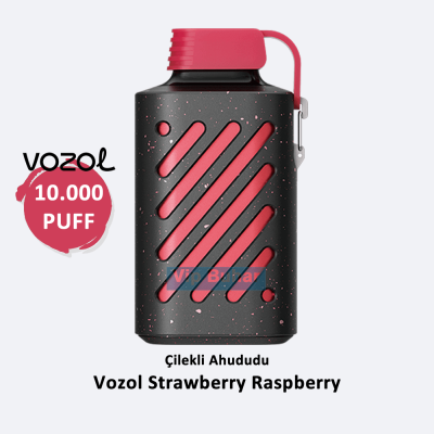 Vozol Strawberry Raspberry, Vozol 10000, Vozol 10000 Puff, Vozol 10K