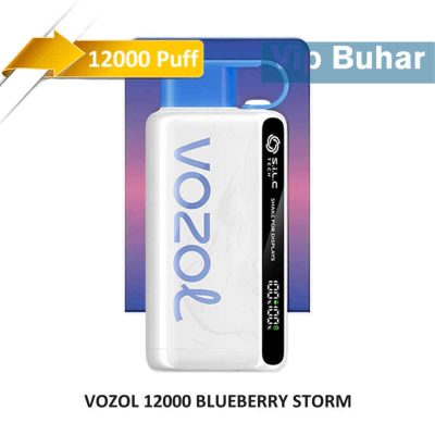 vozol 12000 blueberry storm, vozol, vozol 12000 puff